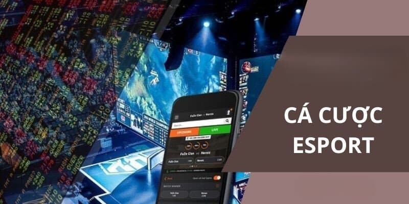 Kèo cược hấp dẫn